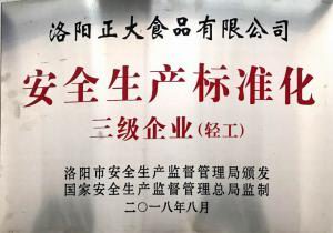 安全生產(chǎn)標(biāo)準(zhǔn)化三級企業(yè)